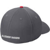 Allegheny Badgers New Era Interception Cap